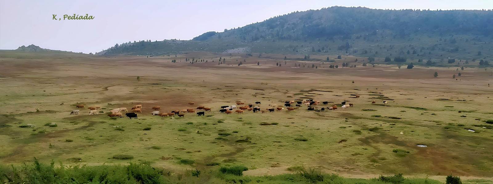 Λουτρακι ποζαρ