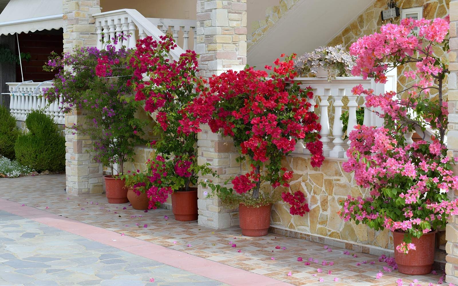 Ξενώνας Relax Ποζαρ