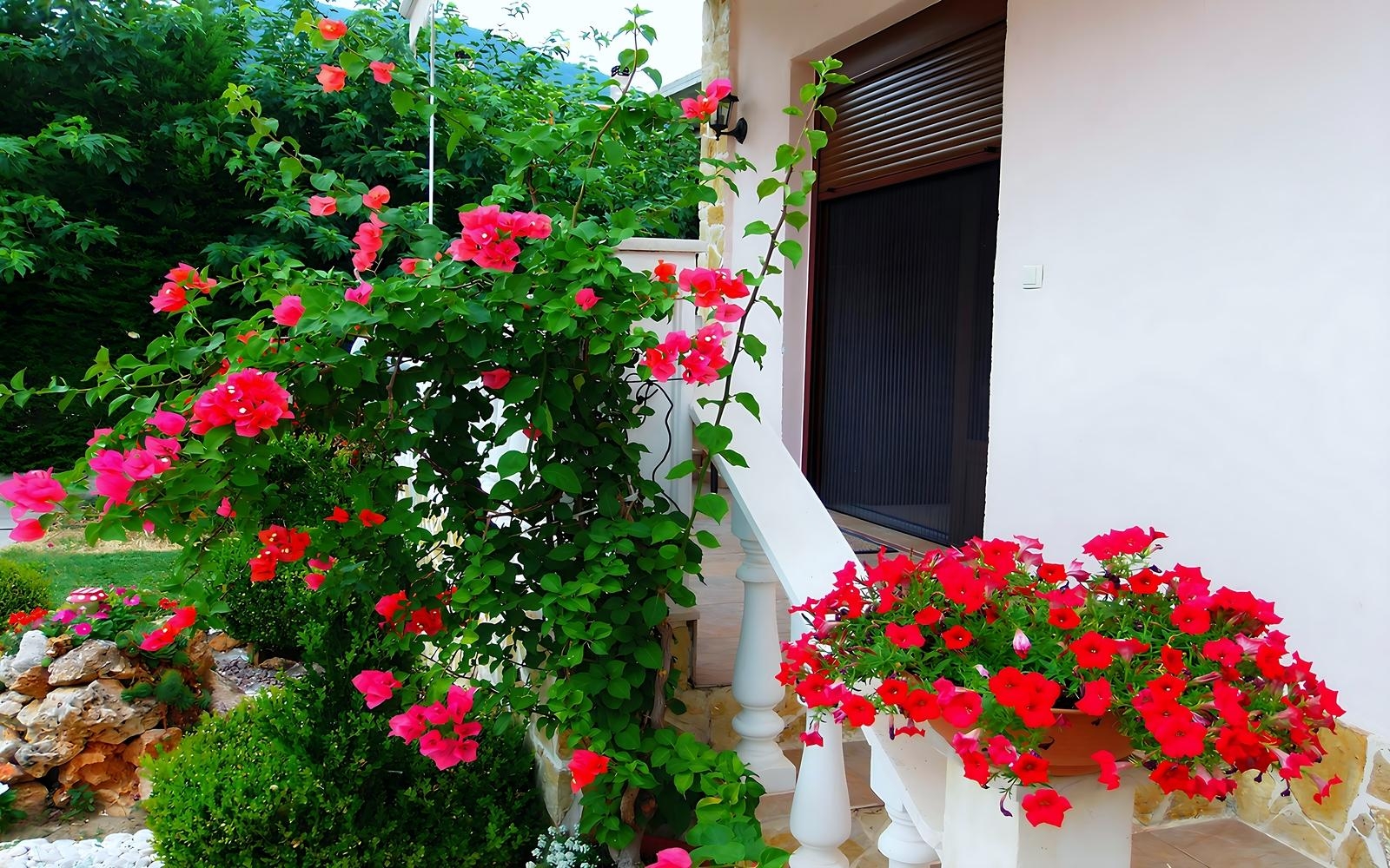 Ξενώνας Relax Ποζαρ