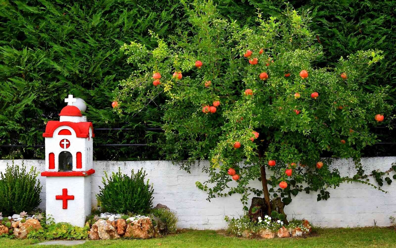 Ξενώνας Relax Ποζαρ